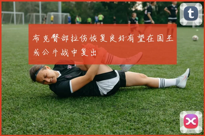 布克臀部拉伤恢复良好有望在国王或公牛战中复出