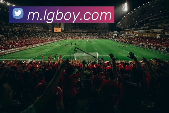 mk体育娱乐官网平台生态图