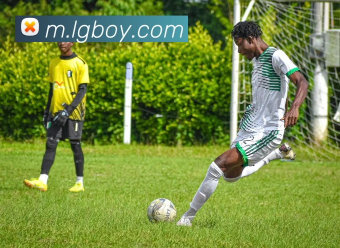 mk体育娱乐官网APP 封面图